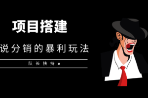 日流水1000+的网文小说平台项目暴利玩法与系统搭建