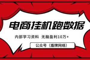 正规电商项目：挂机跑数据，单手机月盈利10万＋（内部学习资料）