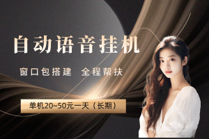 【聊天挂机】项目，单窗口20~50收益，长期项目（包搭建）