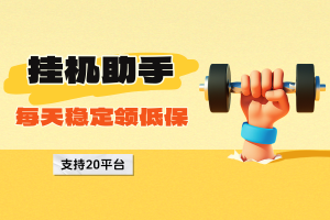 【挂机助手】支持20+平台，每天运行领低保10~20元/天