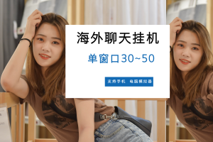 【国外聊天挂机】单窗口一天收益30~50元，脚本全自动支持电脑，手机